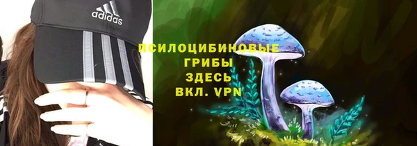 мет Кодинск